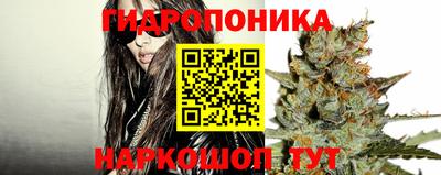 мескалин Новодвинск