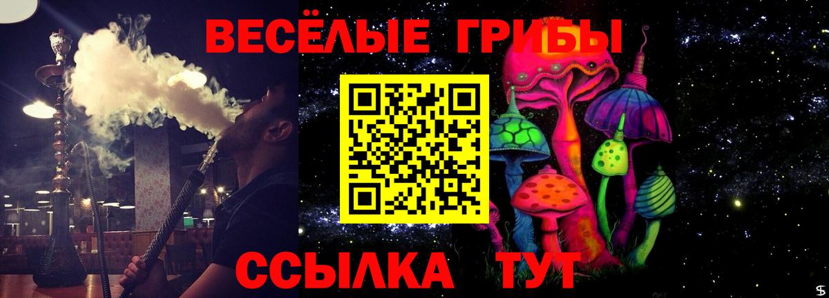 Галлюциногенные грибы мицелий  Вход с VPN  Мегион 