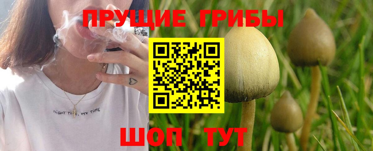 Псилоцибиновые грибы MAGIC MUSHROOMS Мегион